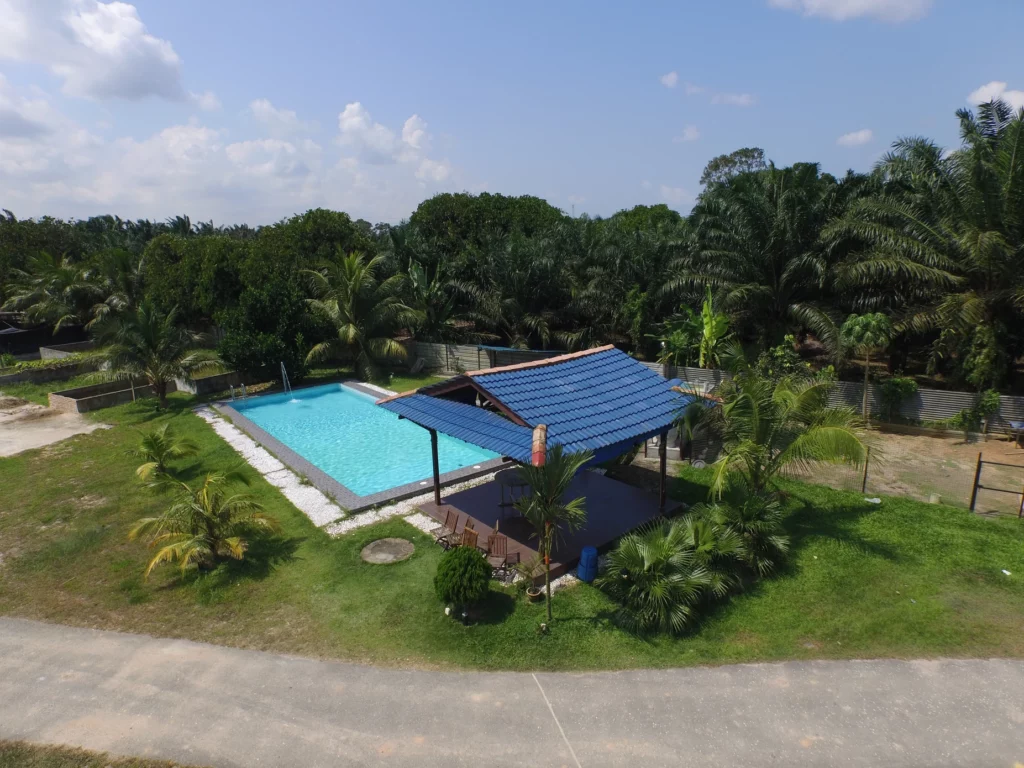 Fantastic Beasts And Where To Play With Them