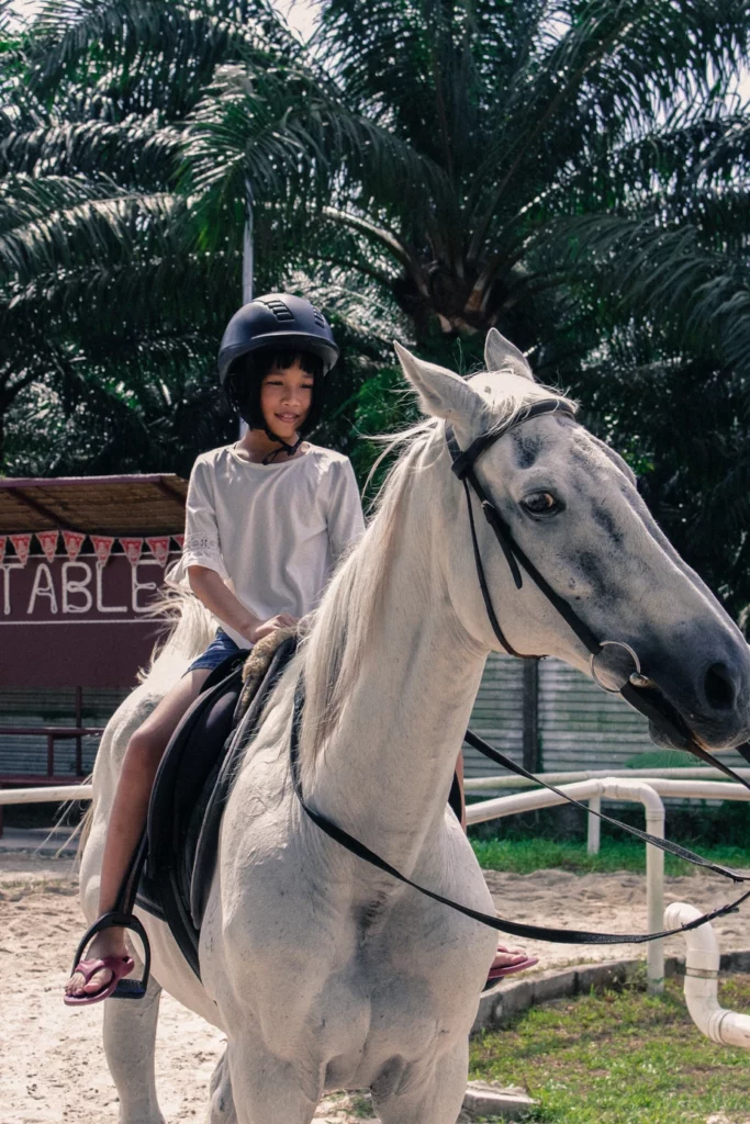 Horse Riding in JB