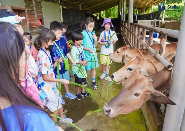 SER-School-Kindergarten-Trip-01