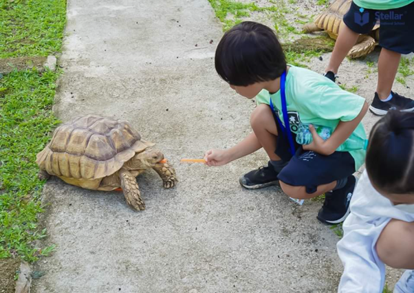 SER-School-Kindergarten-Trip-03